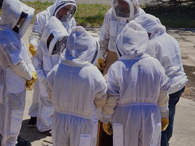 Bee Keeping Suits